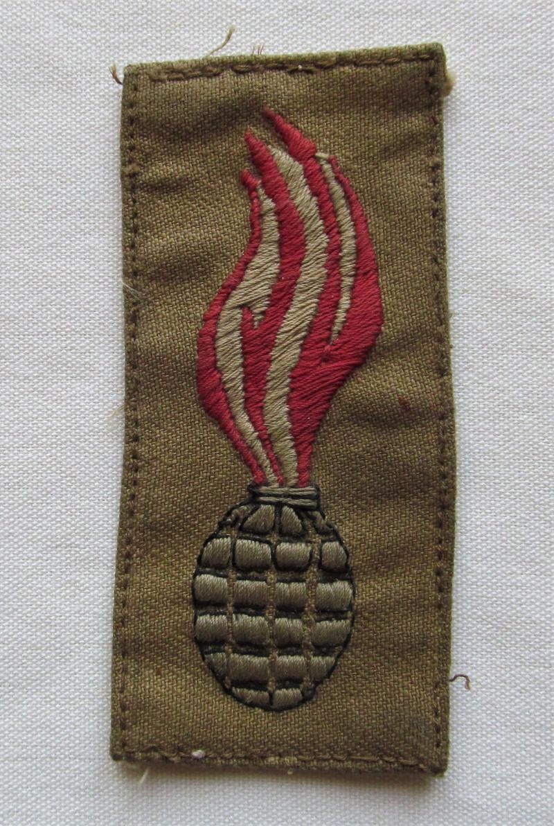 Polish 4th Grenadier Division